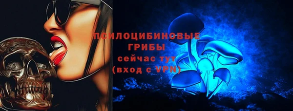 стафф Михайлов