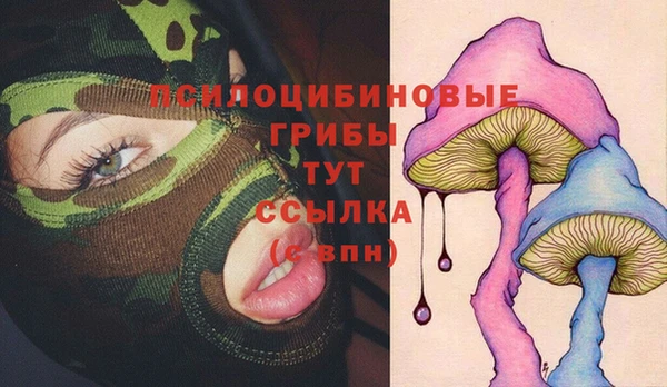 стафф Михайлов
