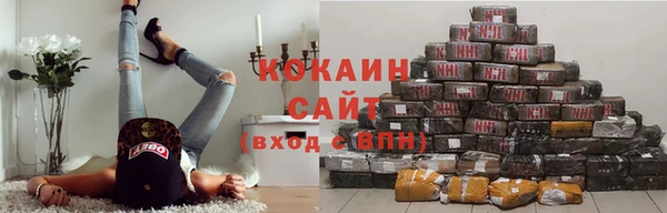 СК Медногорск