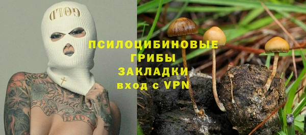 a pvp Медвежьегорск