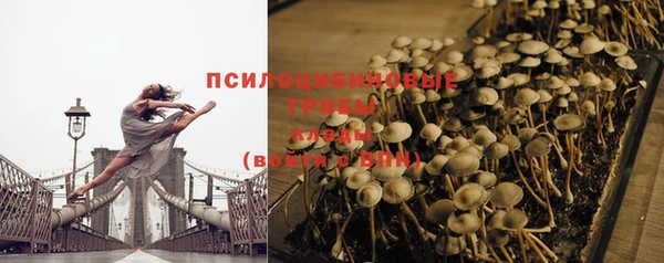 ГАЛЛЮЦИНОГЕННЫЕ ГРИБЫ Михайловка