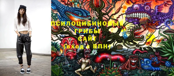 СК Медногорск