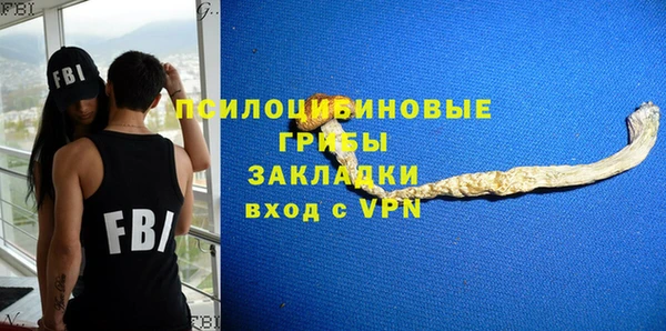 стафф Михайлов