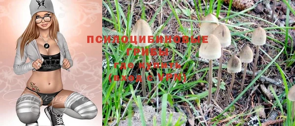 стафф Михайлов