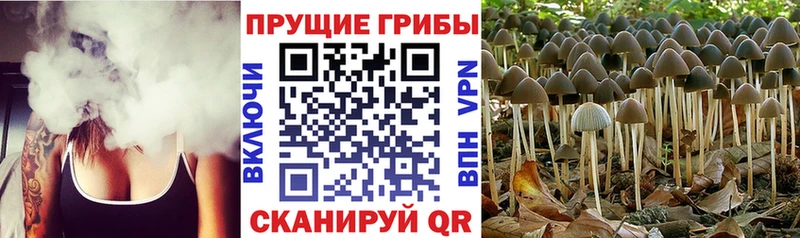 Псилоцибиновые грибы прущие грибы  хочу наркоту  мориарти клад  Ликино-Дулёво 